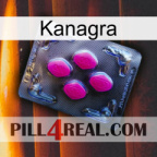 Kanagra 02